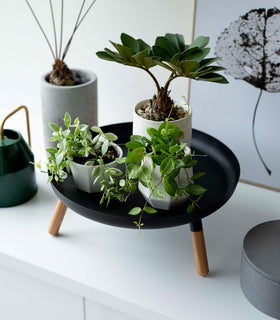 Close up view of black Yamazaki Countertop Pedestal Tray with plants on top view 17