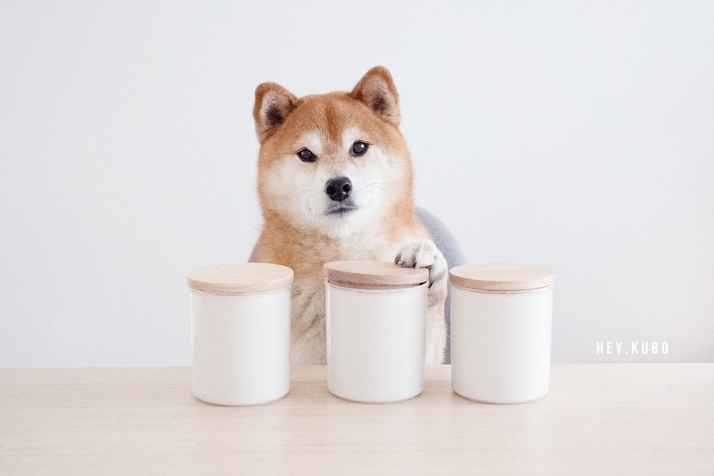 Furry shiba hot sale inu