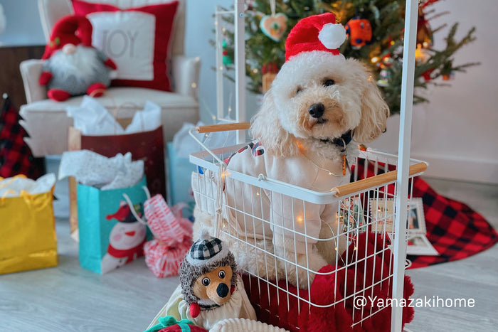 A dog is in the Yamazaki Home wire basket. 