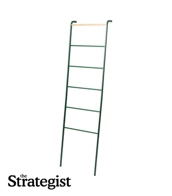 Leaning Storage Ladder (63