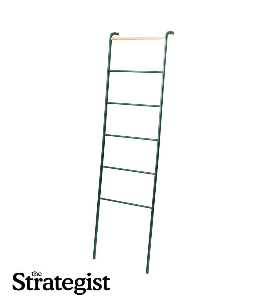 View 1 - Leaning Storage Ladder (63" H)  - Steel - Forest Green