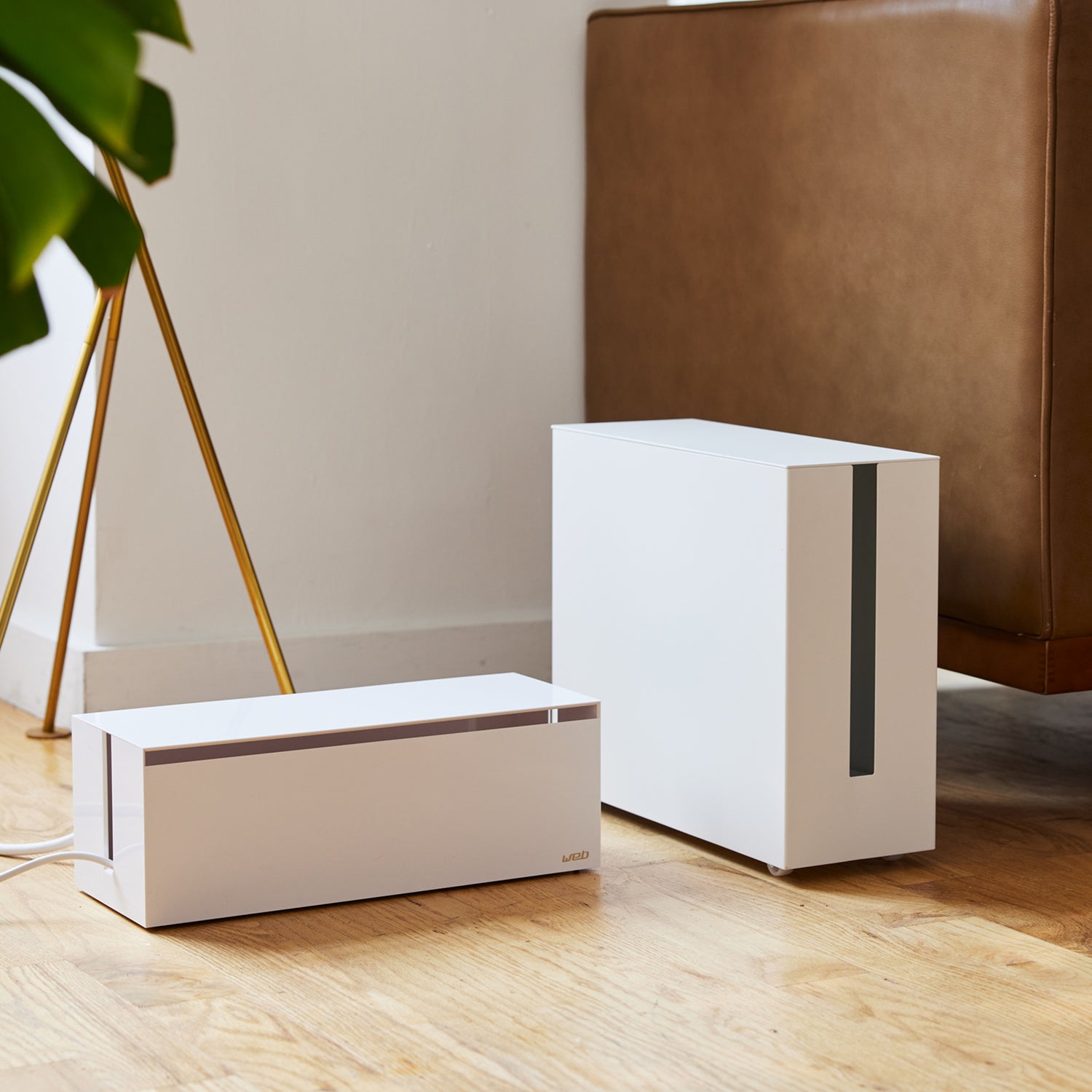 Electronics Organization