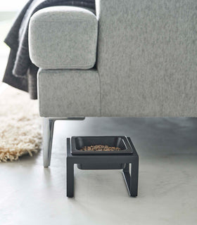 Black tall Yamazaki Single Pet Food Bowl placed in front of a couch filled with food view 19