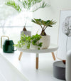White Yamazaki Countertop Pedestal Tray with plants on top
