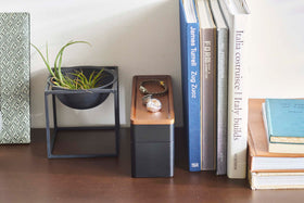 Closed Black Stacking Watch and Accessory Case in between books and plants view 28