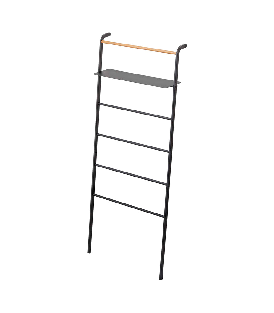 View 17 - Leaning Storage Ladder - Two Styles on a blank background.
