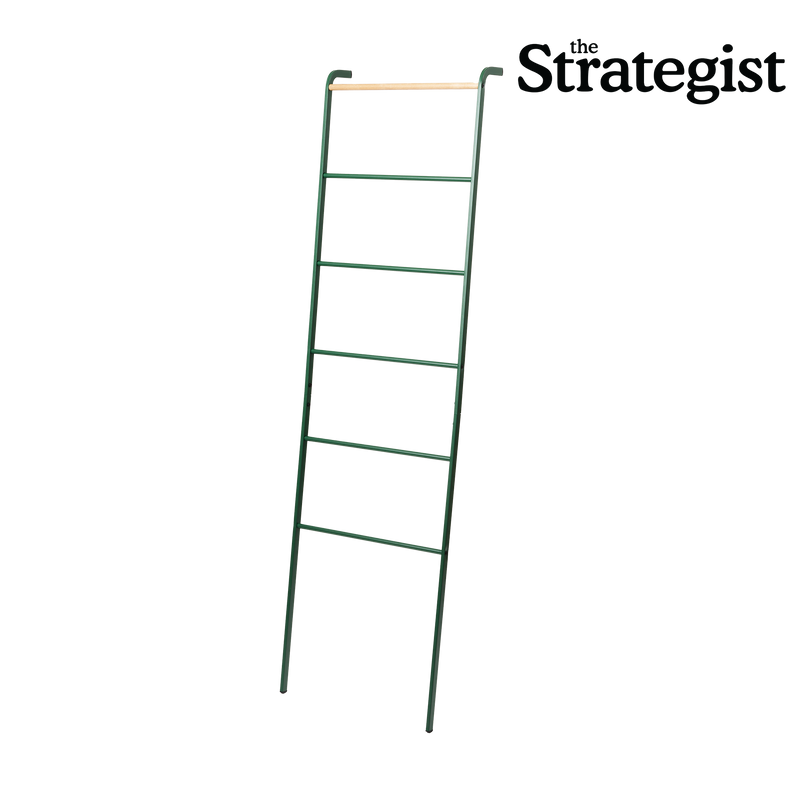 Leaning Storage Ladder (63