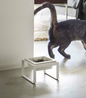 White tall Yamazaki Single Pet Food Bowl in front of a cat view 11