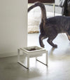 White tall Yamazaki Single Pet Food Bowl in front of a cat