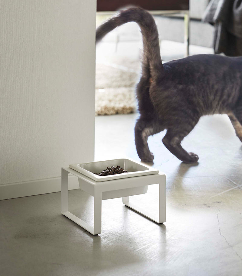 White tall Yamazaki Single Pet Food Bowl in front of a cat