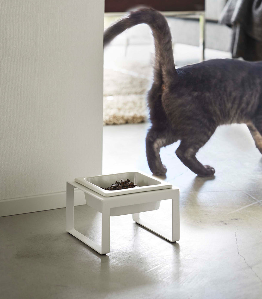 View 11 - White tall Yamazaki Single Pet Food Bowl in front of a cat