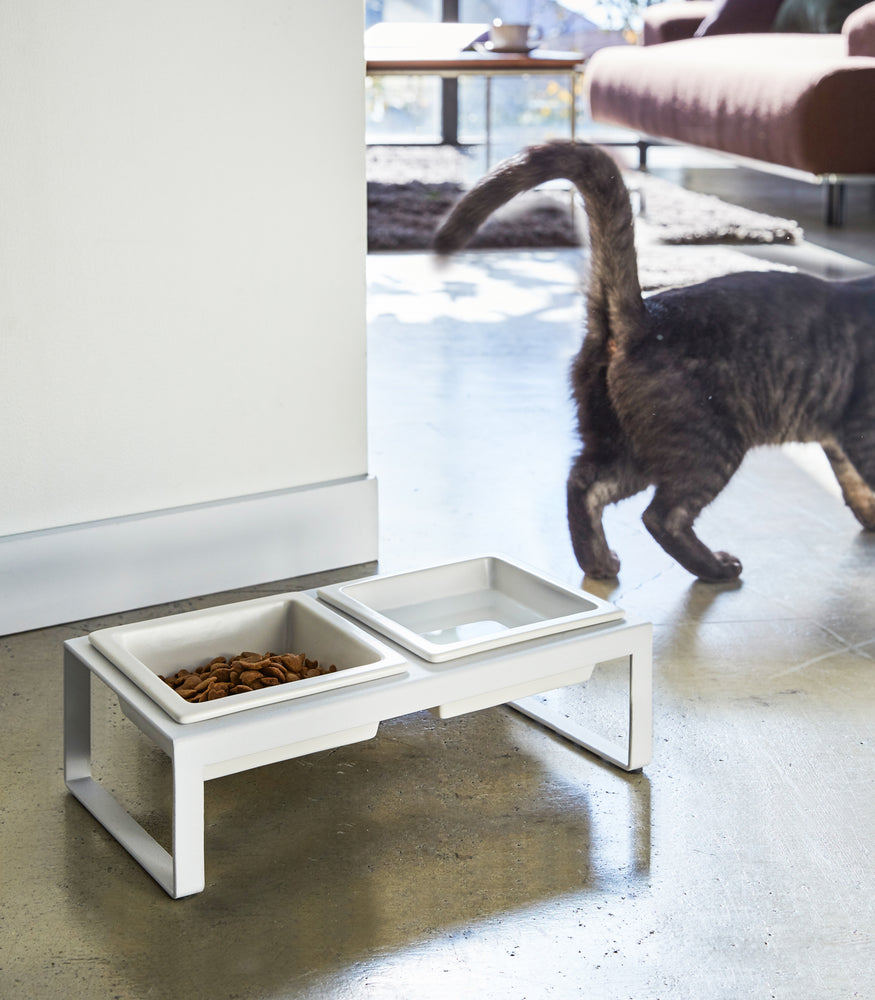 View 6 - Tall white Pet Food Bowl holding pet food by Yamazaki Home.