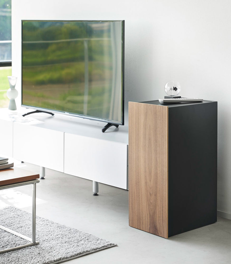 View 11 - A black video game storage cabinet is placed in a living room next to the TV. The wooden door is closed, creating a sleek and organized appearance that seamlessly blends with the modern decor, adding both style and functionality to the space.