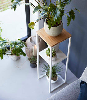 Top-down view of Yamazaki white Pedestal Stand with plants displayed on it view 7