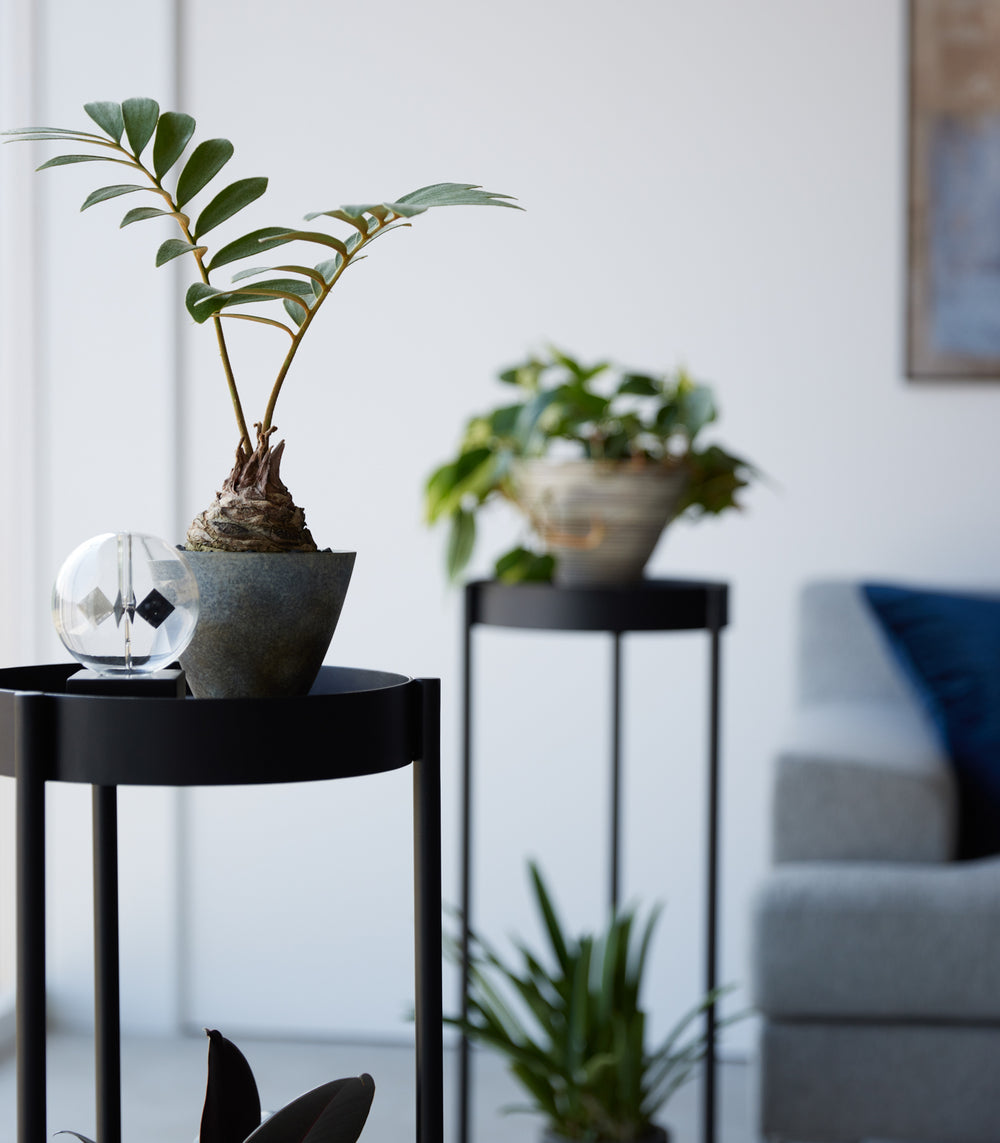 house plant on stand Two-Tier Rolling Plant Stand (28" H)