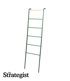 Leaning Storage Ladder on a blank background. view 1