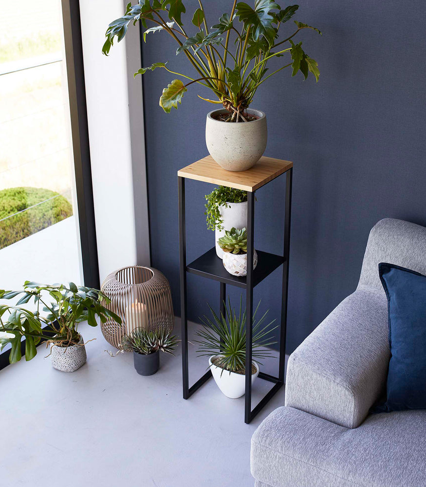 View 12 - Pedestal Stand by Yamazaki Home in black in a living room holding several potted plants.