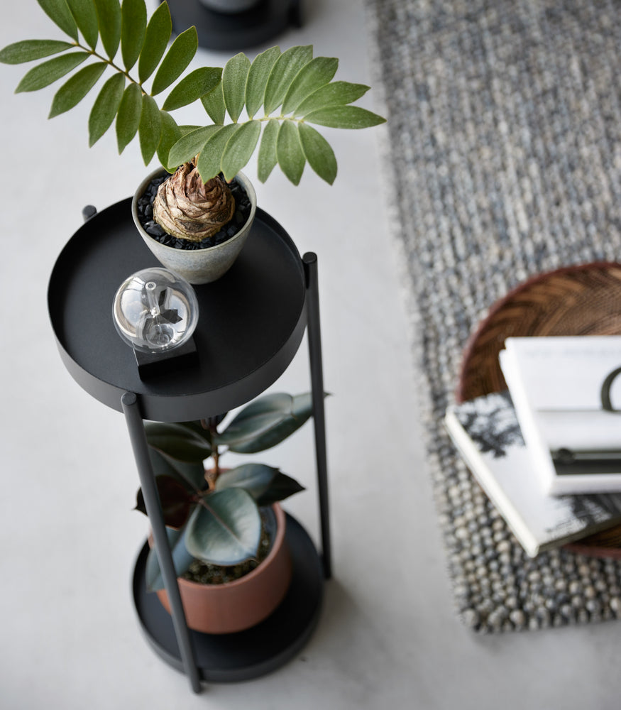 View 12 - Two-level black stand on casters with round shelves and three outer supports. Top shelf houses a small plant and a glass decoration, a medium-sized plant sits on the lower shelf.