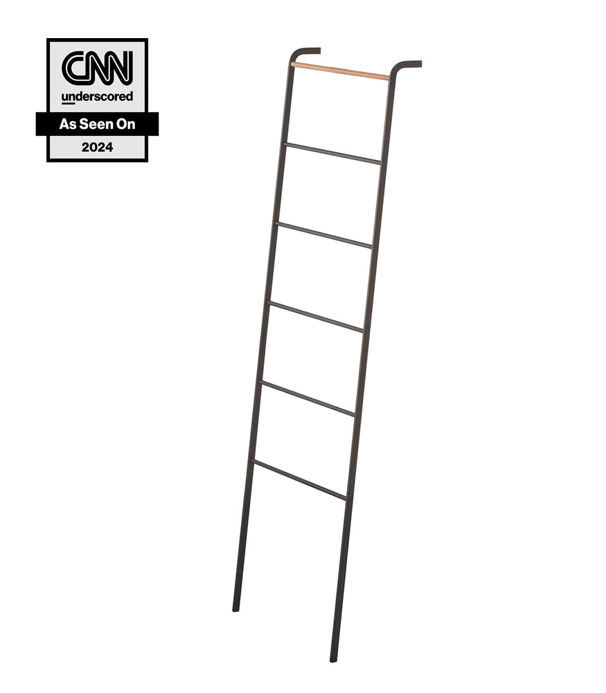 View 4 - Leaning Storage Ladder - Two Styles on a blank background.