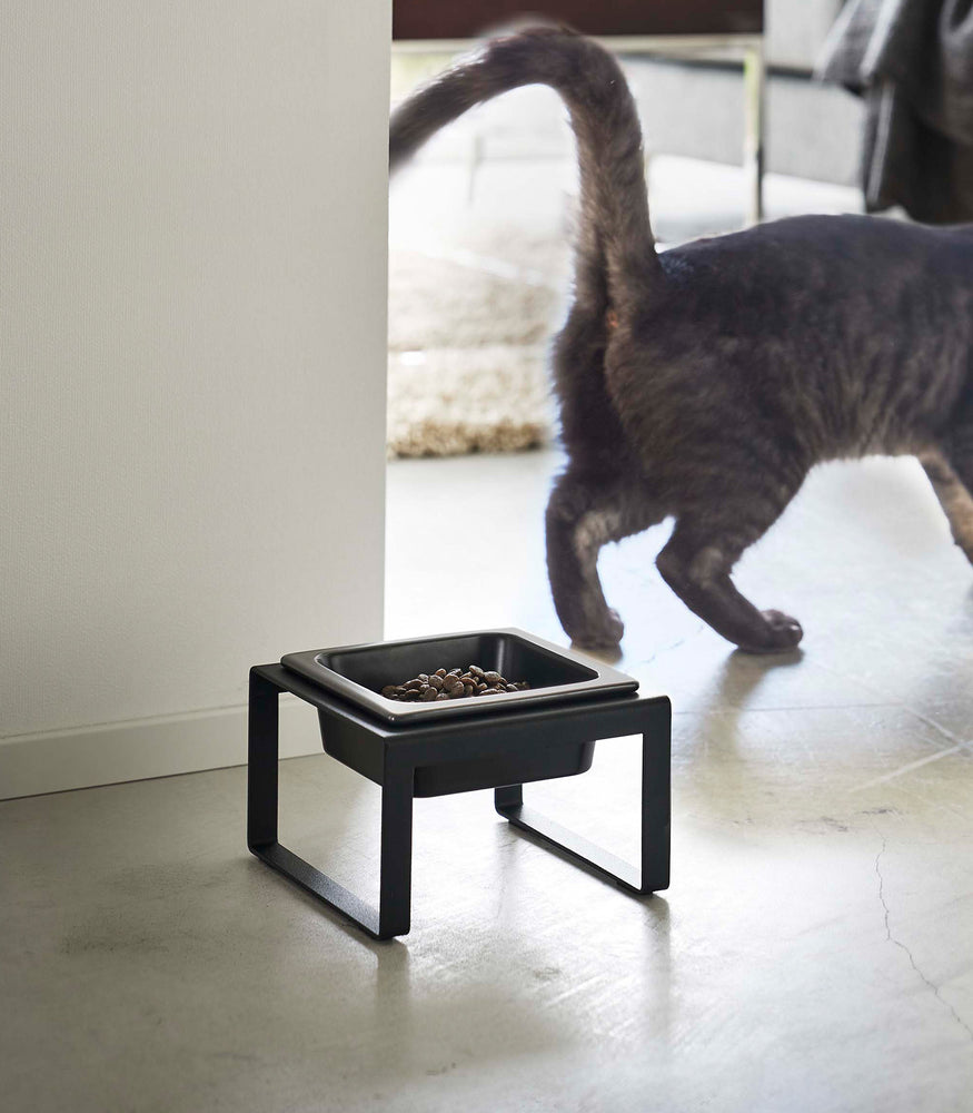View 18 - Black tall Yamazaki Single Pet Food Bowl filled with food in front of a cat
