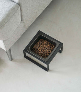 Black tall Yamazaki Single Pet Food Bowl in front of a couch view 20