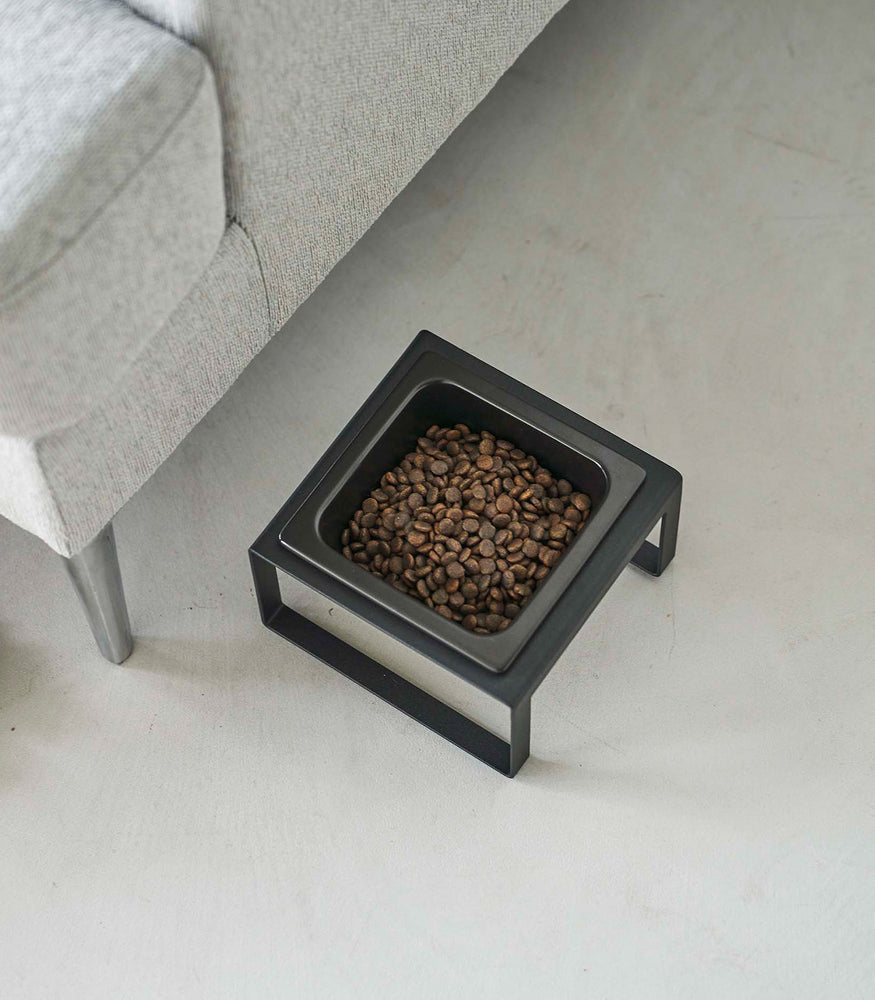 View 20 - Black tall Yamazaki Single Pet Food Bowl in front of a couch