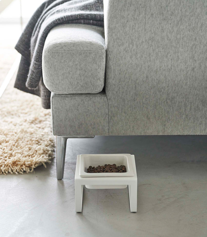 White tall Yamazaki Single Pet Food Bowl filled with food in front of a couch