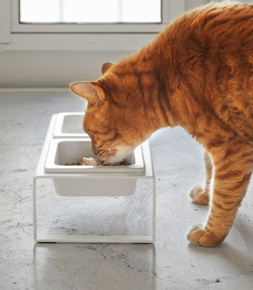 View 7 - Side view of cat eating out of tall white Pet Food Bowl by Yamazaki Home.