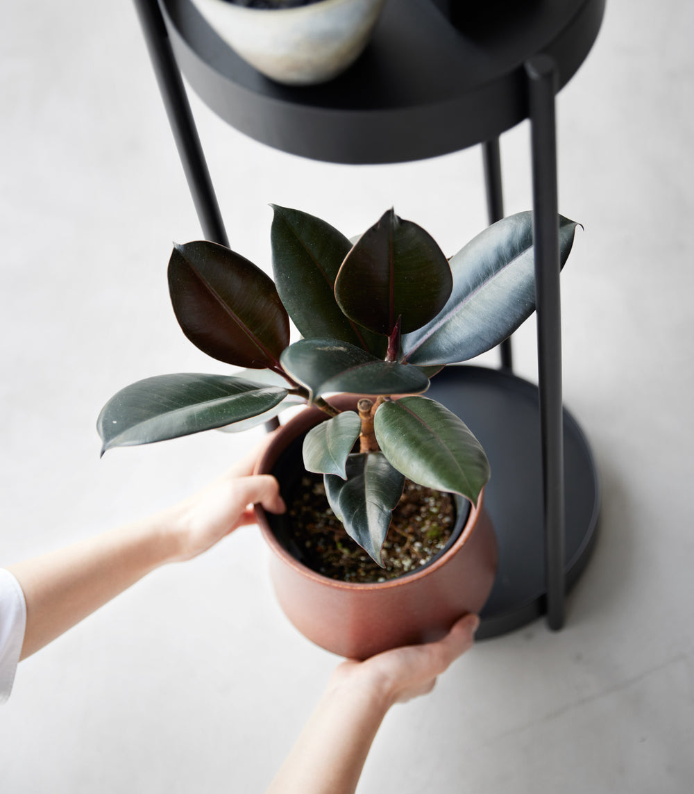 indoor rolling plant stand Two-Tier Rolling Plant Stand (28" H)