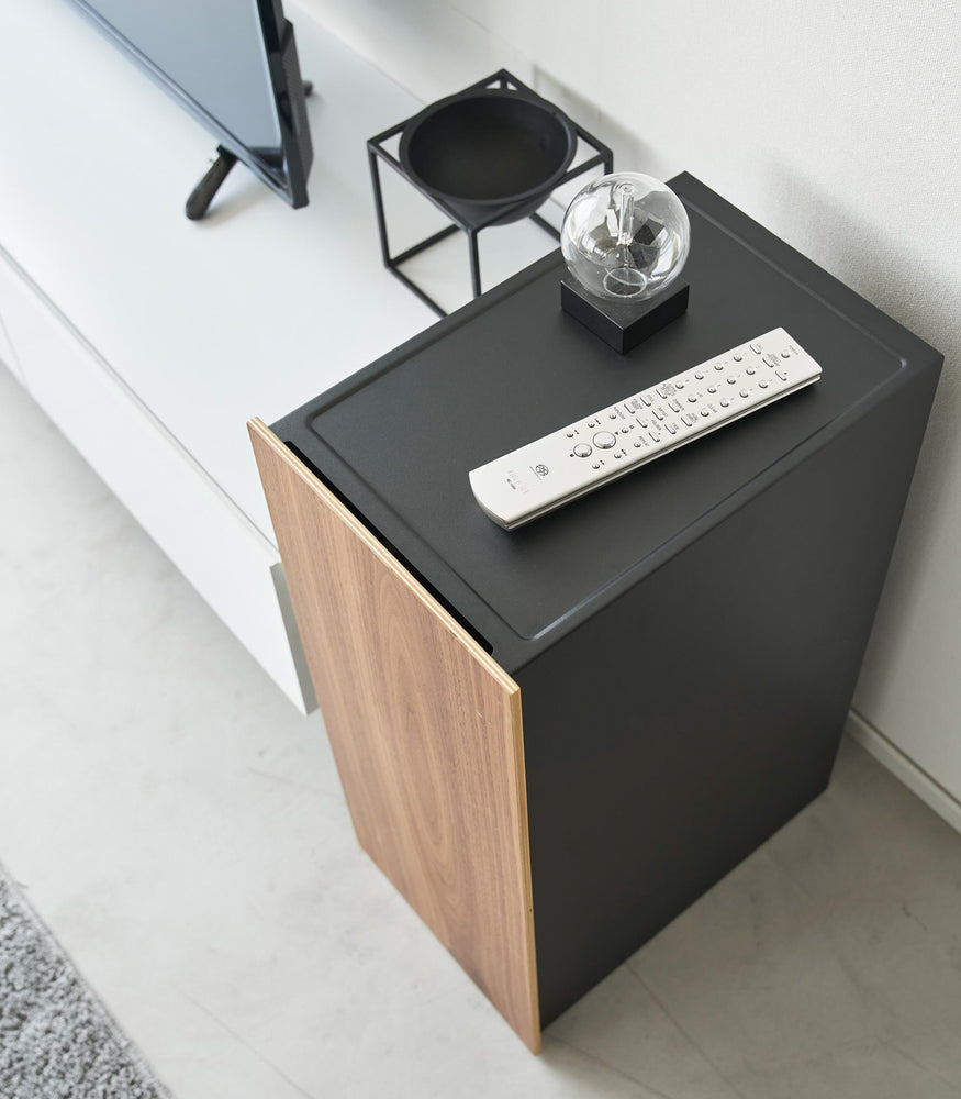 View 15 - A remote controller and a small object are placed on the black cabinet, showcasing how the cabinet blends beautifully into the room as a piece of furniture.