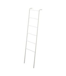 Leaning Storage Ladder on a blank background. view 1