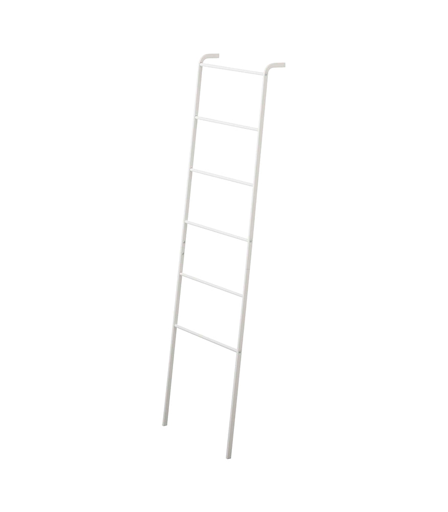 View 1 - Leaning Storage Ladder on a blank background.