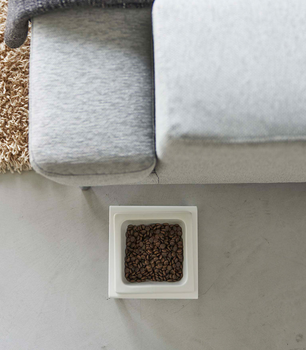 Single Pet Food Bowl - Tall - Steel + Ceramic