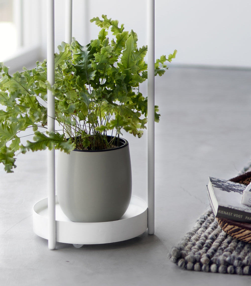 standing pot plant Two-Tier Rolling Plant Stand (28" H)