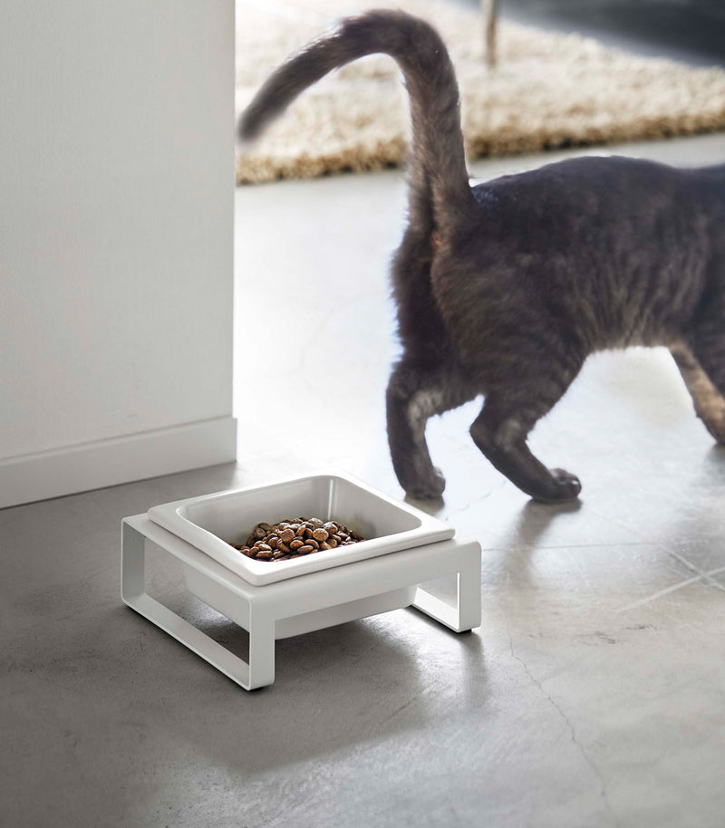 White short Yamazaki Single Pet Food Bowl in front of a cat