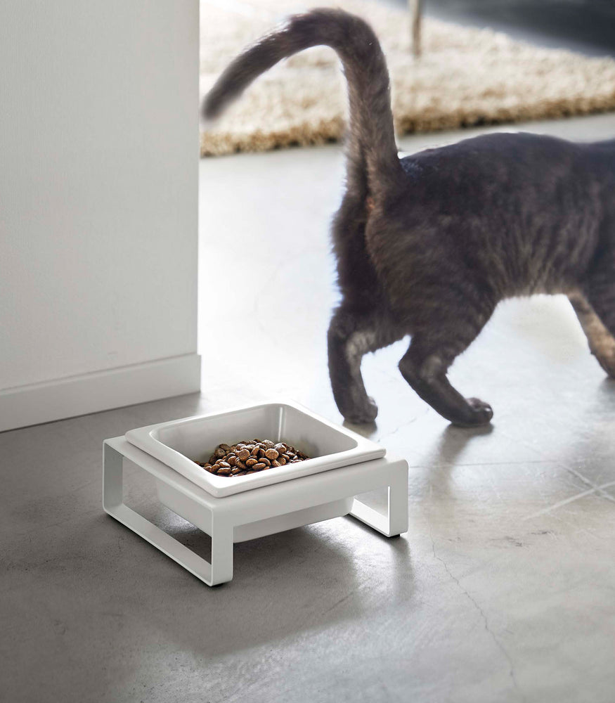 View 2 - White short Yamazaki Single Pet Food Bowl in front of a cat