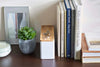 Closed white Stacking Watch and Accessory Case in between books and plants with jewelry on top