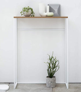 Front view of Narrow Entryway Console Table with plants.  view 5