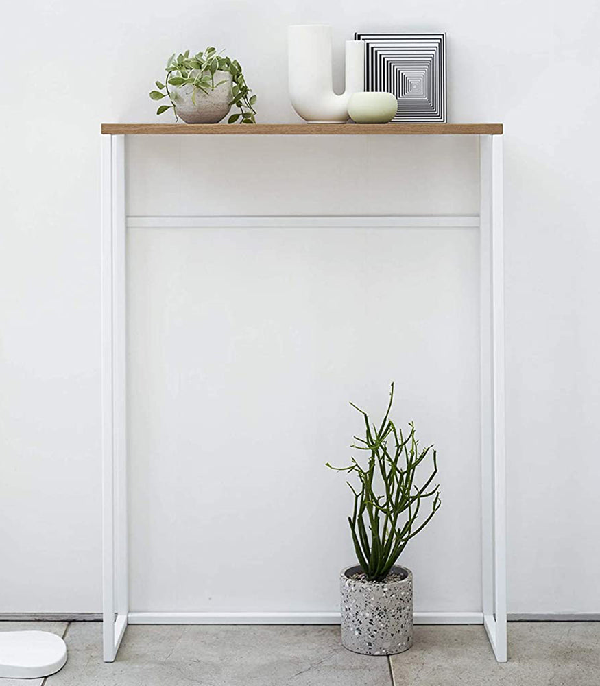 View 5 - Front view of Narrow Entryway Console Table with plants. 